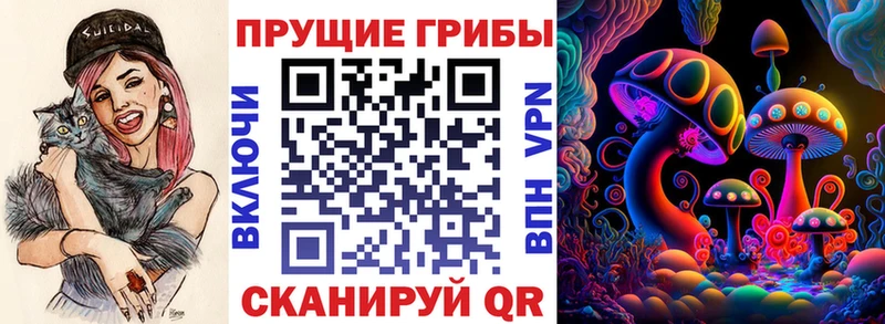Галлюциногенные грибы Psilocybine cubensis  Нестеров 